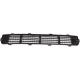 2009 EDGE Bumper Grille