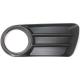 2003 Explorer-Limited Bumper Grille