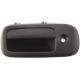 2006 Express-Van Door Handle