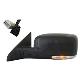 2010 RAM-2500-Pickup Door Mirror