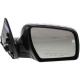 2010 Soul Door Mirror
