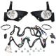 2006 CRV Lamp - Fog Lamp