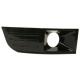 2009 FLEX Lamp - Fog Lamp
