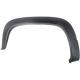 2000 Chevy-C-K-Full-Size-Pcikup Fender Molding