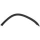 2000 CRV Fender Molding