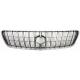 1999 RX300 Grille