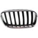2010 3-Series-Sedan-After-1999 Grille