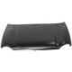 2002 Liberty Hood Panel