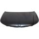 2010 Sebring-CONVERTIBLE Hood Panel