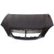 2006 RX400H Hood Panel