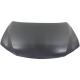 2013 CT200H Hood Panel