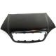 2002 ML500 Hood Panel