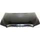 2009 Sequoia Hood Panel