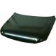 2008 Passat Hood Panel