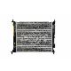 2010 Soul Cooling - Radiator