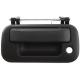 2009 Ford-F150-F250-Light-Duty-Pickup Tail Gate