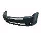 2009 FLEX Bumper Plastic