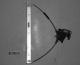 2009 Mazda-3 Window Regulator