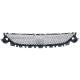 2016 C300 Bumper Grille