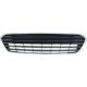 2013 Avalon Bumper Grille