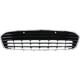 2013 Avalon Bumper Grille