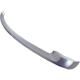 2012 300 Bumper Molding