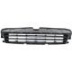 2013 CT200H Bumper Grille