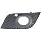 2010 ML350-BLUETEC Bumper Grille