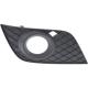2010 ML350-BLUETEC Bumper Grille
