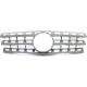 2009 ML550 Grille