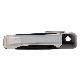 2010 RAM-1500-Pickup Door Handle