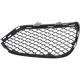 2014 E63 Bumper Grille
