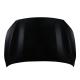 2020 Forte Hood Panel